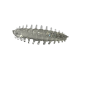 ASB Lures - ACI - 001 ASB Lures - ACI - 001