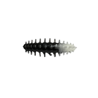 ASB Lures - ACI - 021