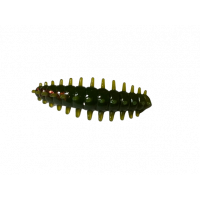ASB Lures - ACI - 010