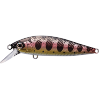 Shimano - Cardiff Pinspot 50S - 02