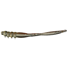 ASB Lures - Devota - 001