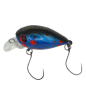 Trout Jara - Crancun 25 MR-SF - AX16 Trout Jara - Crancun 25 MR-SF - AX16