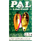 Forest - Pal Limited - LT01 - Royal Orange / Pink
