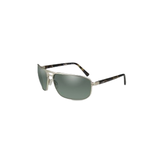 HAYDEN Polarized Green Satin Gold Frame