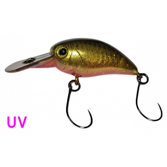 Jackall - PaniCra MR - Catch Master