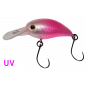Jackall - PaniCra MR - Fuwapin Major Jackall - PaniCra MR - Fuwapin Major
