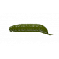 Libra Lures - Goliath - 031 Libra Lures - Goliath - 031