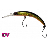 Timon - Pepino MR - HL Gold & Black