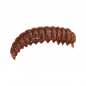 Trout Master Camola 30 Worm Trout Master Camola 30 Worm
