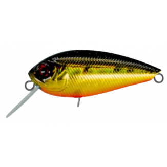 Probaits CFG - Spader 10291