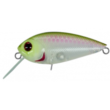 Probaits CFG - Spader 10379