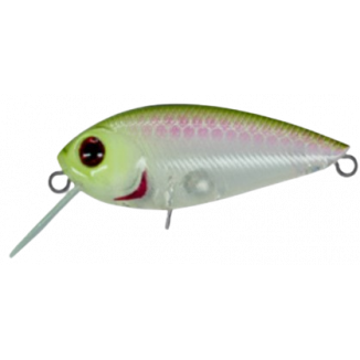 Probaits CFG - Spader 10379