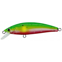 Probaits CFG - RDX Minnow 10385
