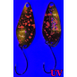 ASB Lures - Anton Crafted - 038 ASB Lures - Anton Crafted - 038