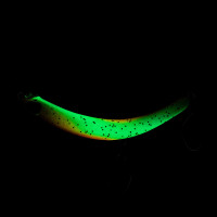 Probaits CFG - Tumbling Banana 10434 Glow