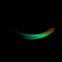 Probaits CFG - Tumbling Banana Spoon Fishing Edition 10420 Glow