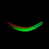 Probaits CFG - Tumbling Banana Spoon Fishing Edition 10422 Glow