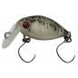 Rodio Craft Moca Fat Jr. SR - SS Col.20 Glow