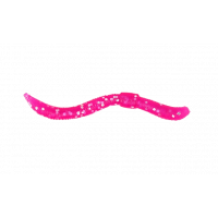TM Dendrobaena Col. Pinky