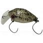 Rodio Craft Moca Fat Jr. SR - F Col.20