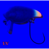 Jackall - Area Man Crank 22F - UV B Bot