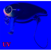Jackall - Area Man Crank DAD 28F - UL Bug