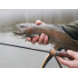 Delphin Troutera Softlure Solid