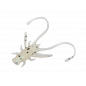 Delphin B! Stinx NYMPHA - Pearl