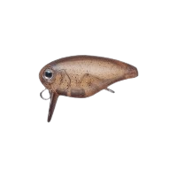 Evergreen - Killer Bug 23 Col.06