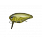 Evergreen - Killer Bug 23 Col.05 Evergreen - Killer Bug 23 Col.05