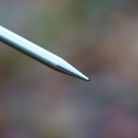 Spro - Trout Master Strong Spike Bankstick 55-90 cm