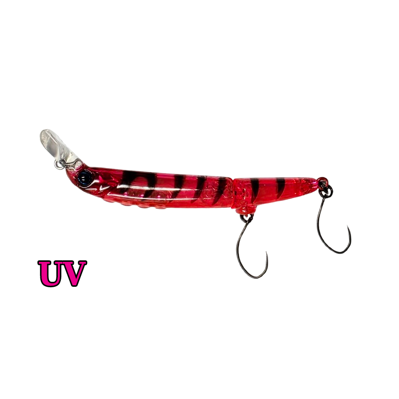 Timon Futten FS Pink Suji Shrimp