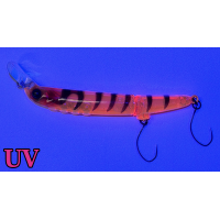 Timon Futten FS Pink Suji Shrimp