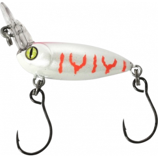 Balzer - Billy Beetle Albino