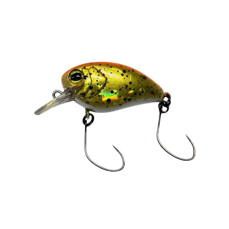 Timon Flapani HL Gold Orange Bait