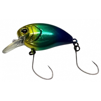 Timon Flapani Bright Atom