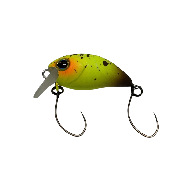 Timon Chibi Panicra SR - SS Sugar Spot Chartreuse