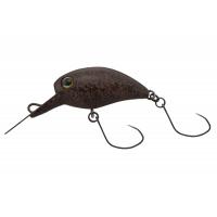 Kibipani MR-SS Tackey Brown