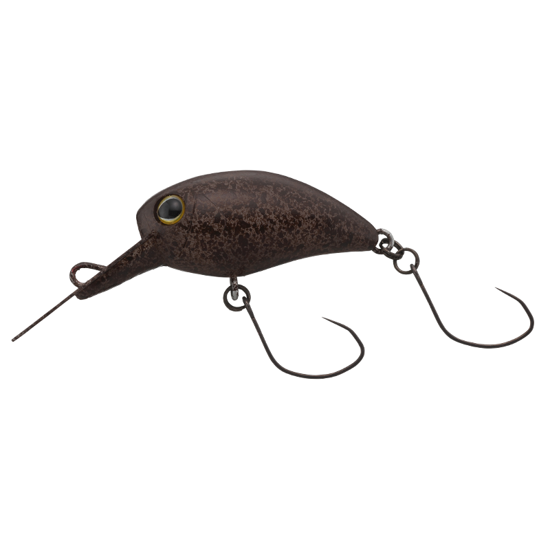 Kibipani MR-SS Tackey Brown