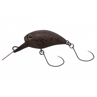 Kibipani MR-SS Tackey Brown