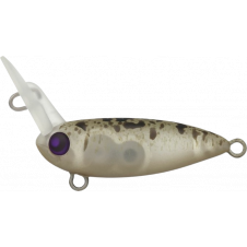 Rodio Craft USSA XS No 11 Glow