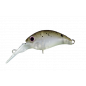 O.S.P - Melo DR-F TR06