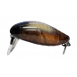 Tacklehouse - Elfin Mini Cicada S No.2