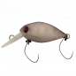 Rodio Craft Moca Fat Jr. DR - SS No.37