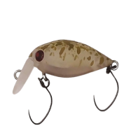 Rodio Craft Moca Fat Jr. SR - SS Col.35