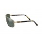 HAYDEN Polarized Green Satin Gold Frame HAYDEN Polarized Green Satin Gold Frame