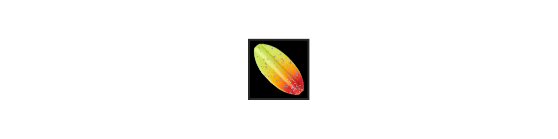Inliner Spoon
