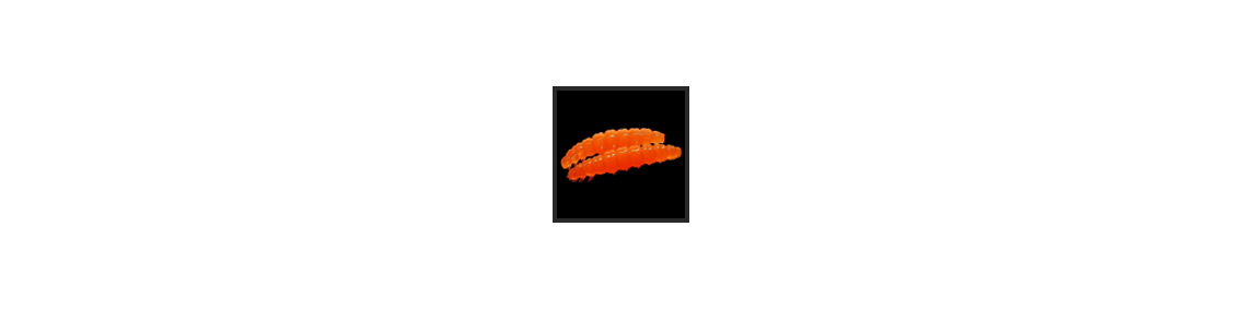Larva 
