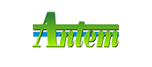 Antem